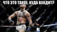 что это такое, куда входит? 