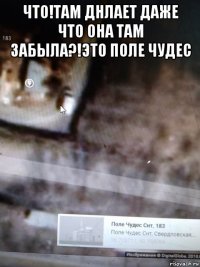 что!там днлает даже что она там забыла?!это поле чудес 