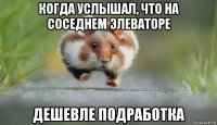когда услышал, что на соседнем элеваторе дешевле подработка