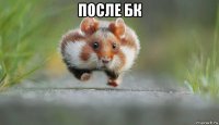 после бк 