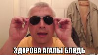  здорова агалы блядь