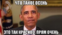 что такое осень это так красиво. прям очень