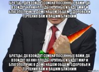 братцы, да взойдут семена посеянные вами, да взойдут на них плоды крупные и будет мир и благополучие в доме нашем общем. здоровья и терпения вам и вашим близким братцы, да взойдут семена посеянные вами, да взойдут на них плоды крупные и будет мир и благополучие в доме нашем общем. здоровья и терпения вам и вашим близким