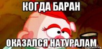 когда баран оказался натуралам