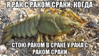 я рак с раком сраки, когда стою раком в сраке у рака с раком сраки