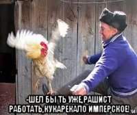  -шел бы ть уже,рашист работать,кукарекало имперское!