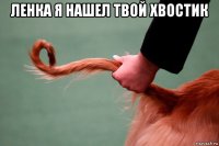 ленка я нашел твой хвостик 