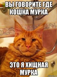 вы говорите где кошка мурка это я хищная мурка