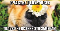 счастье целует всех только не всякий это замечает