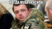 когда муха укусила 