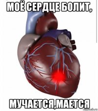 моё сердце болит, мучается,мается