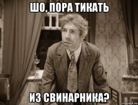 шо, пора тикать из свинарника?