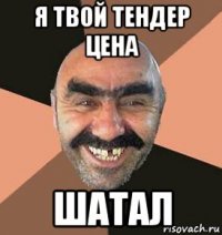 я твой тендер цена шатал