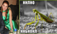 ннлно нньнонл
