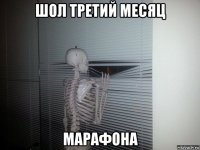 шол третий месяц марафона