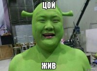 цой жив
