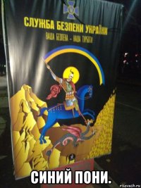  синий пони.