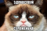 здравствуй сероженька