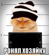  ронял хозяйку