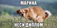 марина неси диплом