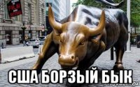  сша борзый бык