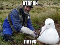 второй питух