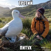 третий питух
