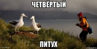 четвёртый питух