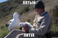 пятый питух