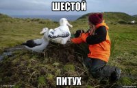 шестой питух