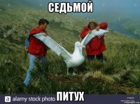 седьмой питух