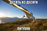 десять из десяти питухов