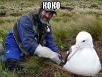 коко 