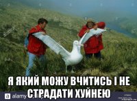  я який можу вчитись і не страдати xуйнею