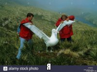  я