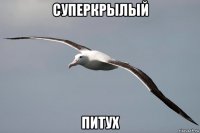 суперкрылый питух