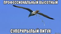 профессиональный высотный суперкрылый питух