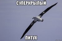 суперкрылый питух