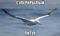 суперкрылый питух