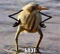  блэт