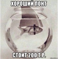 хороший понт стоит 200 т.р.