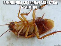 ренешечка свобода,равенство, братство!!! 