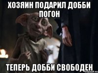 хозяин подарил добби погон 