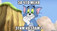 за что меня этим козлам?