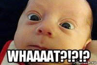  whaaaat?!?!?