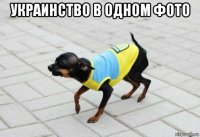 украинство в одном фото 