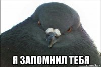  я запомнил тебя