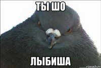 ты шо лыбиша