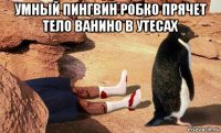 умный пингвин робко прячет тело ванино в утесах 