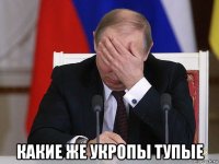  какие же укропы тупые
